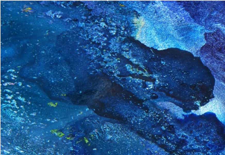 blog image